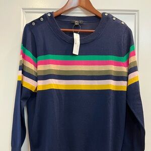 J. Crew Navy Sweater with Green Stripe